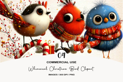 Whimsical Christmas Bird Clipart Product Image 1