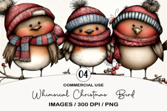 Whimsical Christmas Bird Clipart Sublimation Product Image 1