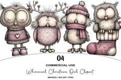 Whimsical Christmas Owl Clipart Product Image 1