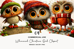 Whimsical Christmas Owl Clipart Product Image 1