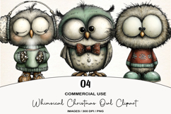 Whimsical Christmas Owl Clipart Product Image 1
