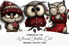 Whimsical Christmas Owl Clipart Product Image 1
