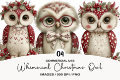 Whimsical Christmas Owl Clipart Product Image 1