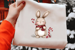 Whimsical Christmas Rabbit Clipart Product Image 2