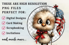 Whimsical Cute Patriotic Chick Clipart Product Image 2