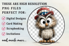 Whimsical Cute Patriotic Owl Clipart Product Image 2