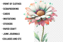 Whimsical Daisy Flower Clipart Product Image 2