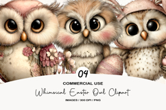 Whimsical Easter Owl Clipart Product Image 1