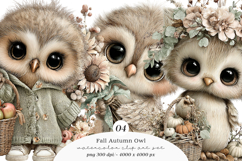 Whimsical Fall Autumn Owl Clipart Product Image 1