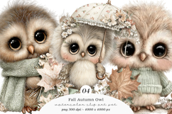 Whimsical Fall Autumn Owl Clipart Product Image 1