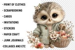 Whimsical Fall Autumn Owl Clipart Product Image 2