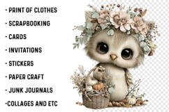 Whimsical Fall Autumn Owl Clipart Product Image 2