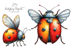 Whimsical Ladybug Clipart Product Image 1