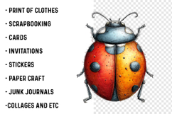 Whimsical Ladybug Clipart Product Image 2