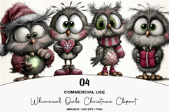 Whimsical Owls Christmas Clipart Product Image 1