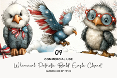 Whimsical Patriotic Bald Eagle Clipart Product Image 1