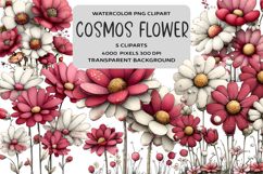Whimsical Spring Cosmos Flower Clipart Product Image 1
