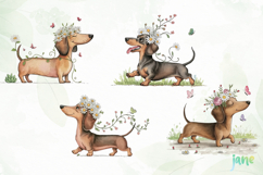 Whimsical Spring Dachshund Clipart Product Image 1