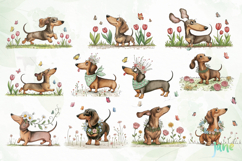 Whimsical Spring Dachshund Clipart Product Image 8