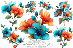 Whimsical spring hibiscus flowers - spring flower Png Product Image 1