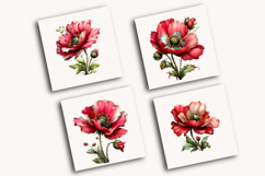 Whimsical Spring Poppy clipart Product Image 4