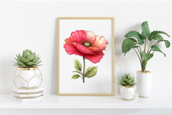 Whimsical Spring Poppy Flower Clipart PNG Product Image 2