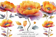 Whimsical spring poppy flowers Png - spring poppy flowers Product Image 1
