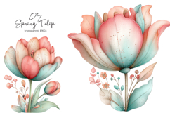Whimsical Spring Tulip Clipart Product Image 1