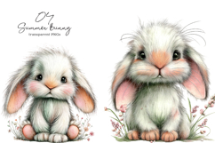 Whimsical Summer Bunny Clipart Product Image 1
