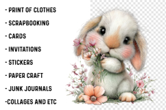 Whimsical Summer Bunny Clipart Product Image 2