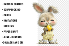 Whimsical Summer Bunny Fruits Clipart Product Image 2