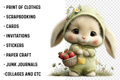 Whimsical Summer Bunny Fruits Clipart Product Image 2