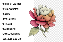 Whimsical Summer Flower Clipart Product Image 2