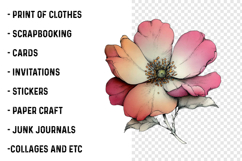 Whimsical Summer Flower Clipart Product Image 2