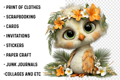 Whimsical Summer Owl Clipart Png Product Image 2