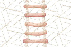 Magical Treehouse Adventure Clipart PNG Fantasy Mini World Product Image 4