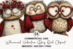 Whimsical Valentine Day Owl Clipart Product Image 1