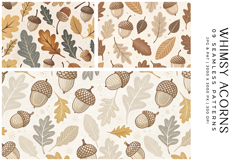 Whimsy Acorns Product Image 2
