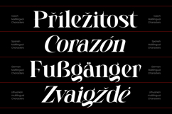 Whispering Beadows - Modern Serif Product Image 8