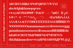 Whispering Beadows - Modern Serif Product Image 10