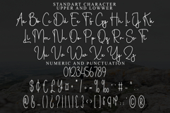 Whistle Product Image 2