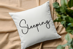 Whistle Product Image 3