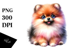 Watercolor Funny Pomeranian | Clipart Product Image 1