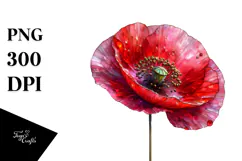 Poppy Watercolor Splash PNG Product Image 1