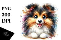 Watercolor Cute Shetland Sheepdog PNG Product Image 1