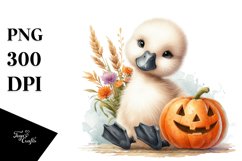 Cute Baby Swan Sitting PNG Product Image 1