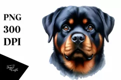 Rottweiler Big Eyes Watercolor Clipart Product Image 3