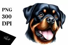 Rottweiler Big Eyes Watercolor Clipart Product Image 1