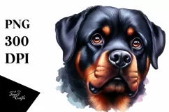 Rottweiler Big Eyes Watercolor Clipart Product Image 3