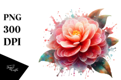 Camellia with Material, Transparent PNG Product Image 1